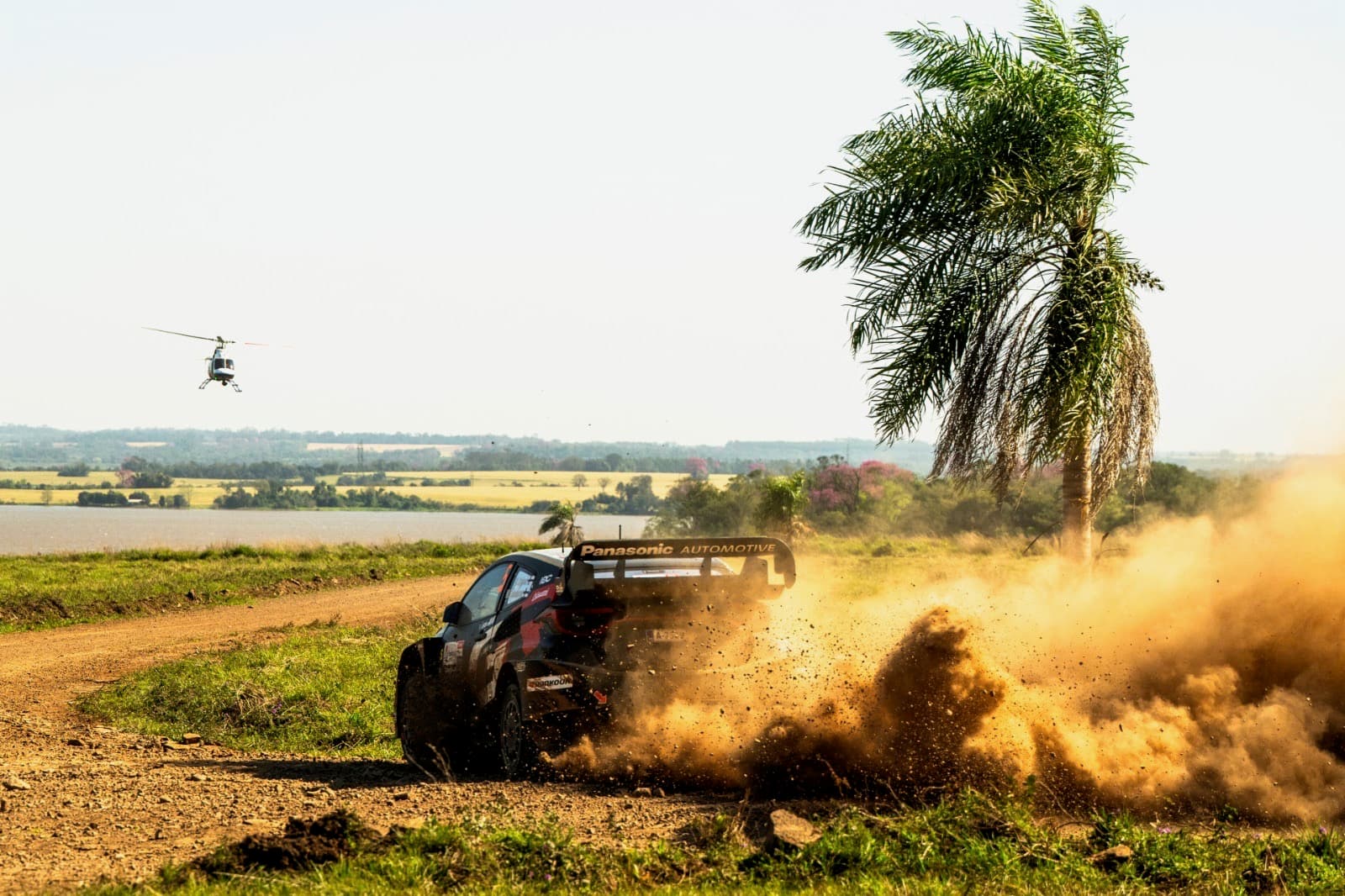 WRC Guest Experience